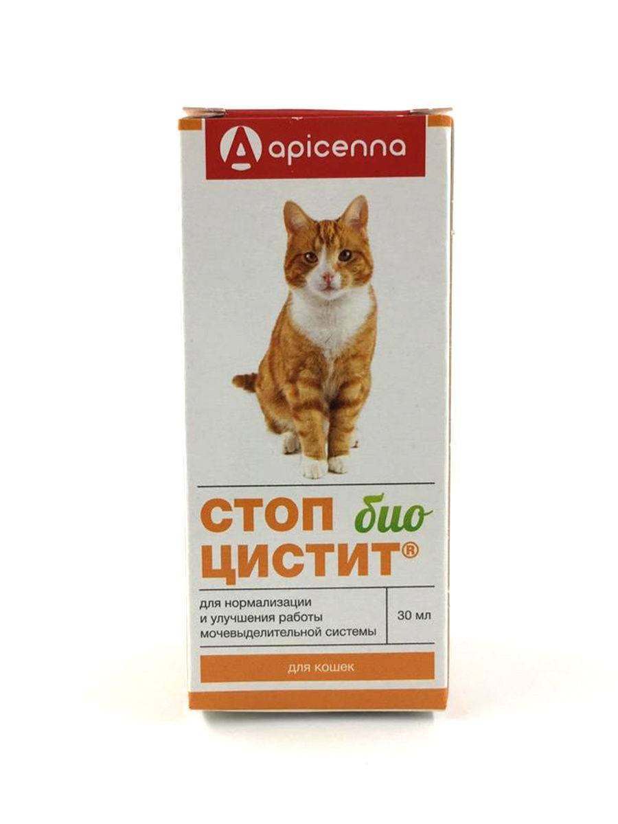Стоп-цистит для кошек: состав и инструкция к применению