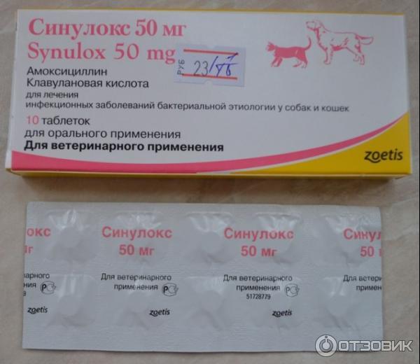 Синулокс 50 мг, 10 таб/уп