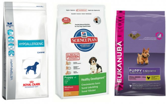 Лучший гипоаллергенный корм для собак: рейтинг 8 самых популярных и качественных на рынке
