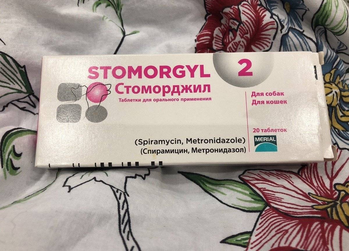 Стоморджил для кошек