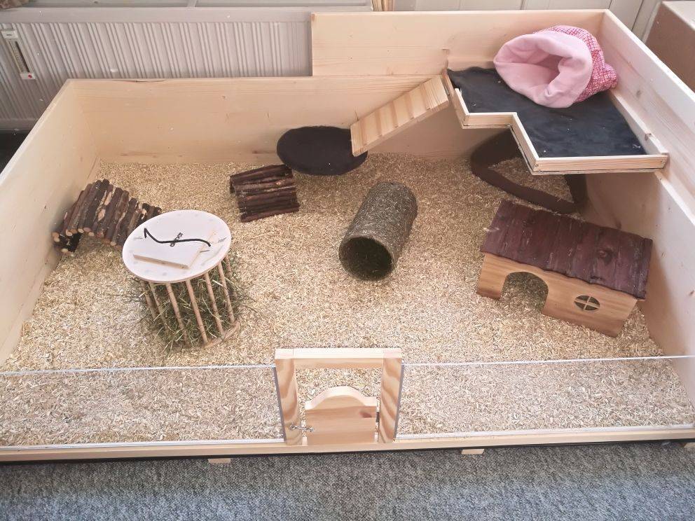 Домик для морской свинки своими руками (18 фото): как сделать мягкий дом по чертежам? особенности самодельных домиков