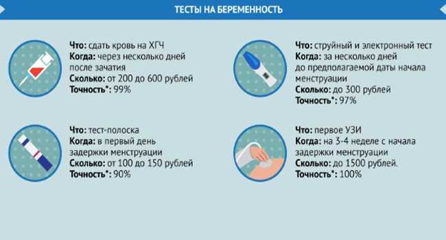 Как узнать что кошка беременна