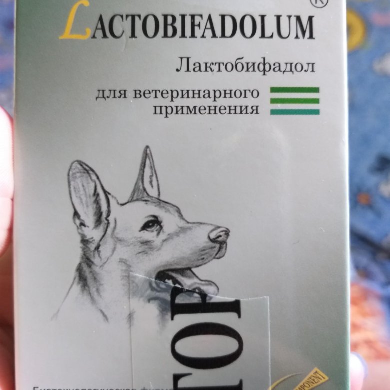 Лактобифадол для собак - усатый-полосатый