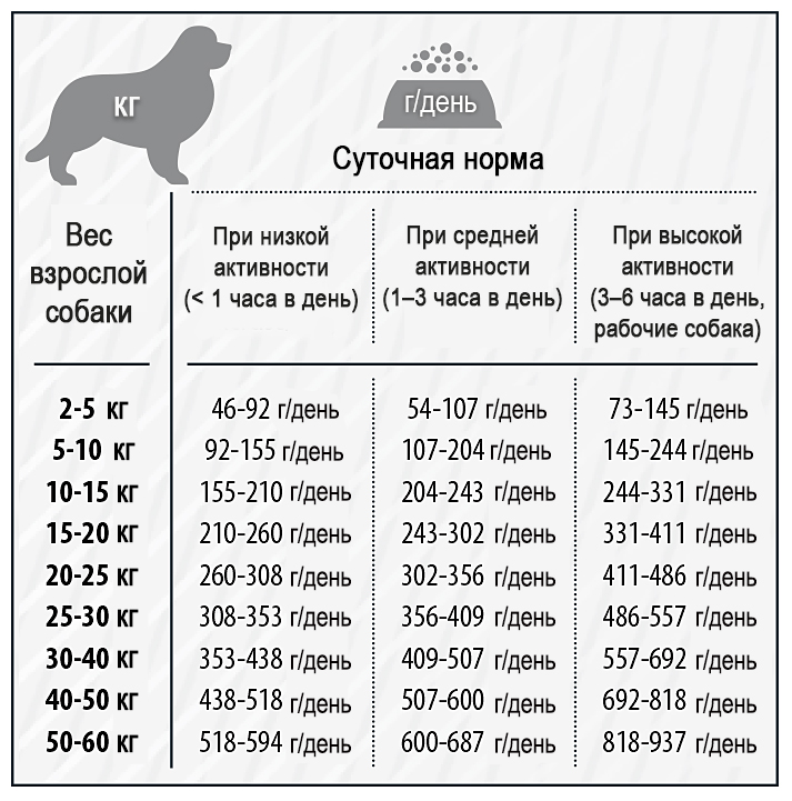 До скольки растут собаки