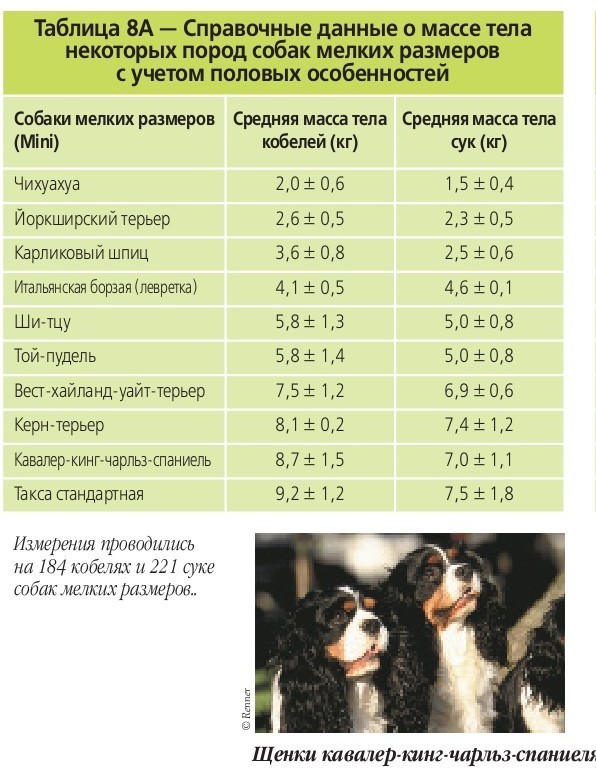 Сколько лет живут собаки таблица по породам