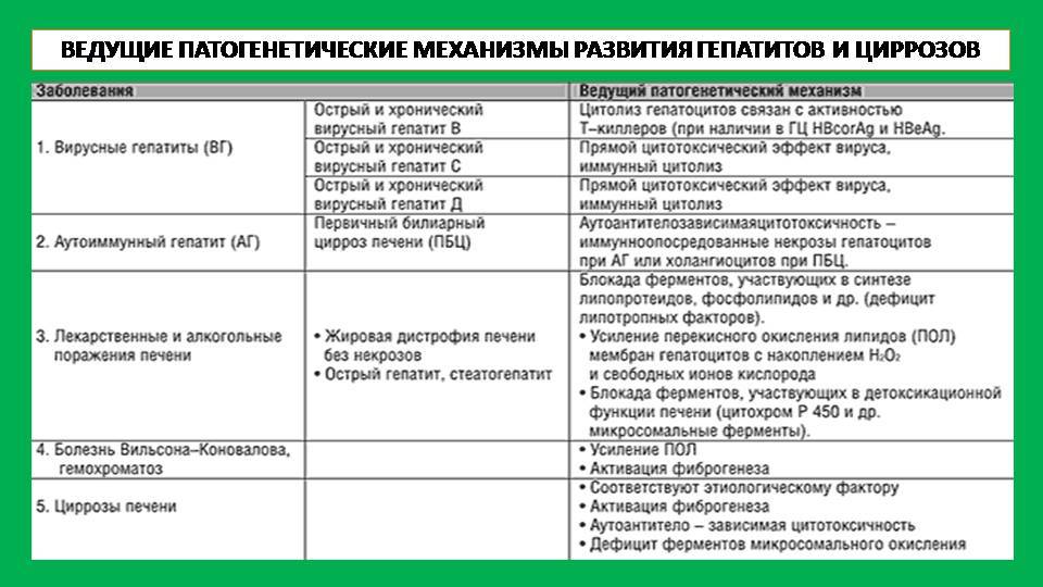 Болезни печени у кошек | апиценна