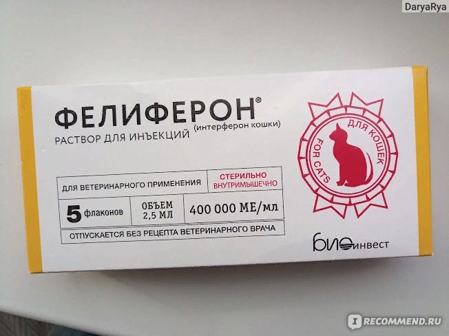 Фелиферон для кошек – инструкция по применению