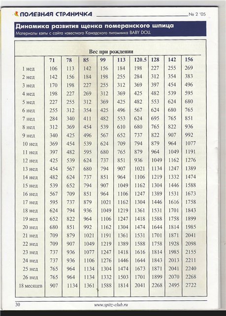 Нормальный вес шпица. Вес щенка шпица в 3 месяца таблица. Вес щенка шпица по месяцам таблица. Вес померанского шпица по месяцам таблица. Вес шпица в 3 месяца норма таблица.