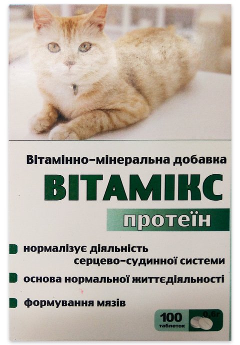 Как кормить истощённую кошку | блог ветклиники "беланта"