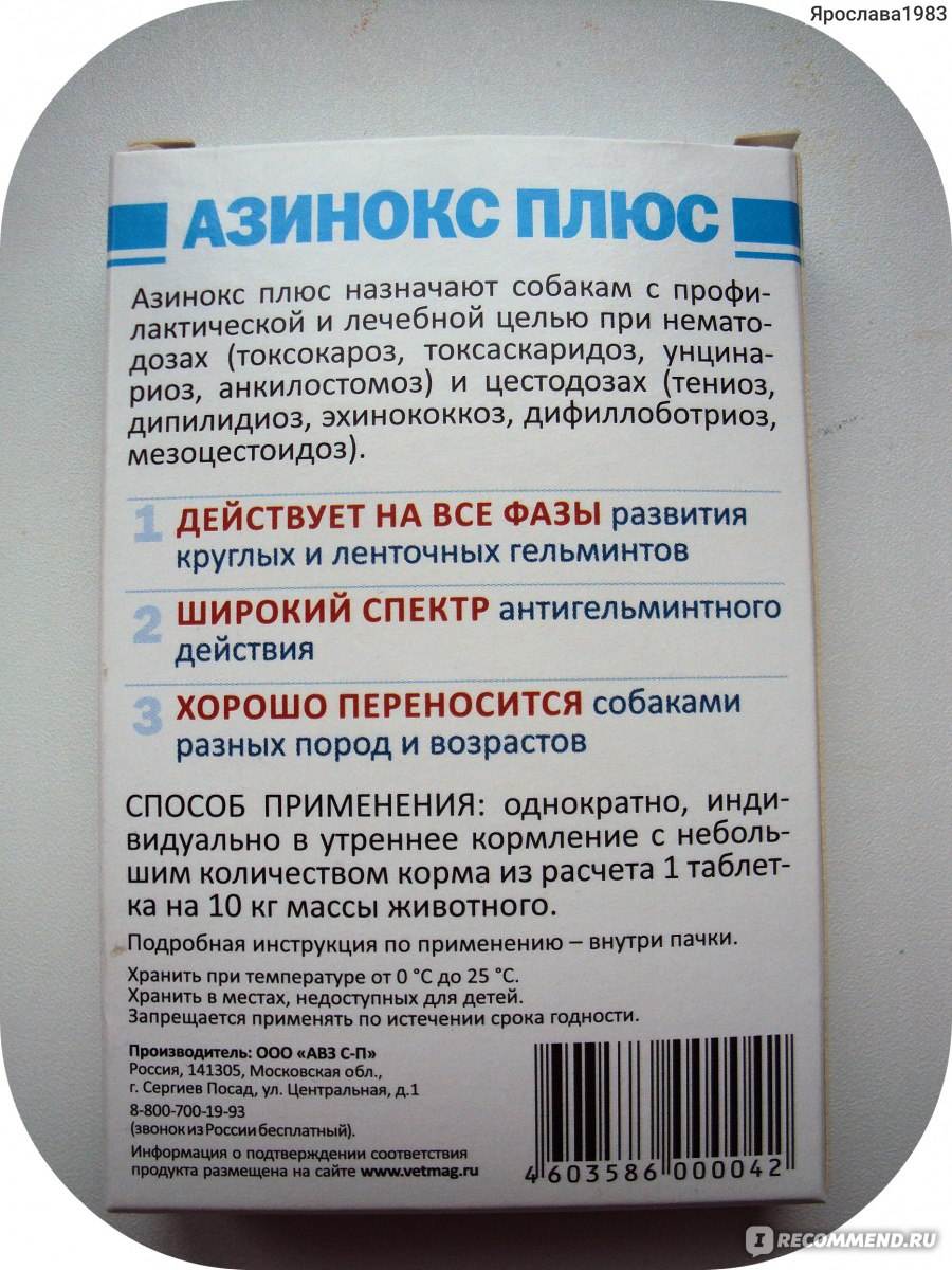 Азинокс для кошек: инструкция по применению, действие, эффективность и отзывы специалистов