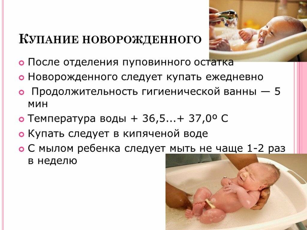 ᐉ когда можно мыть щенка первый раз? - zoomanji.ru