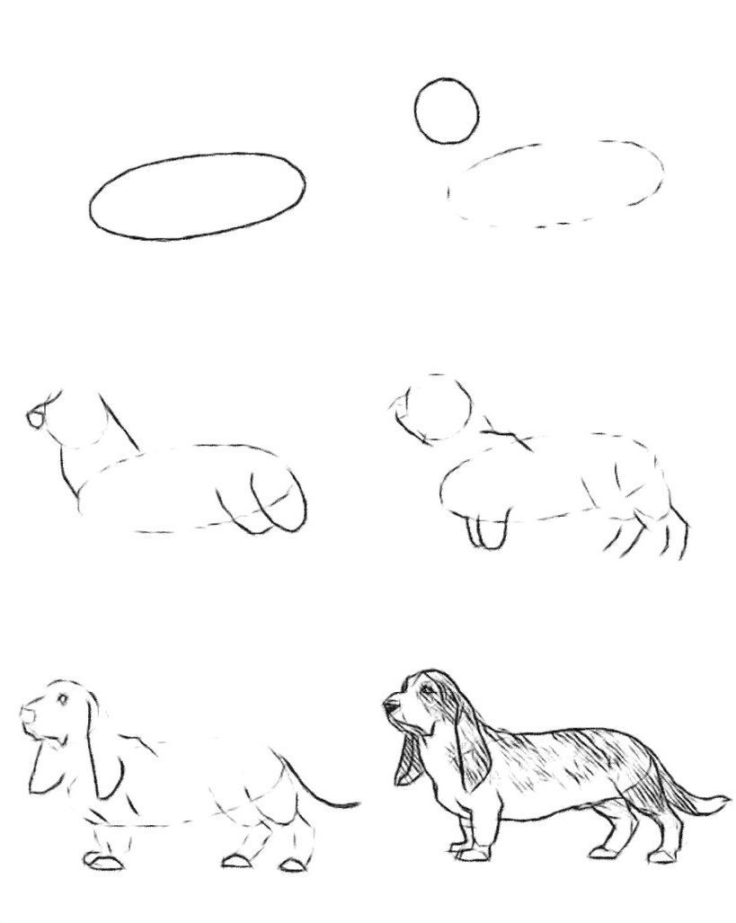 Как нарисовать собаку (фото, видео)