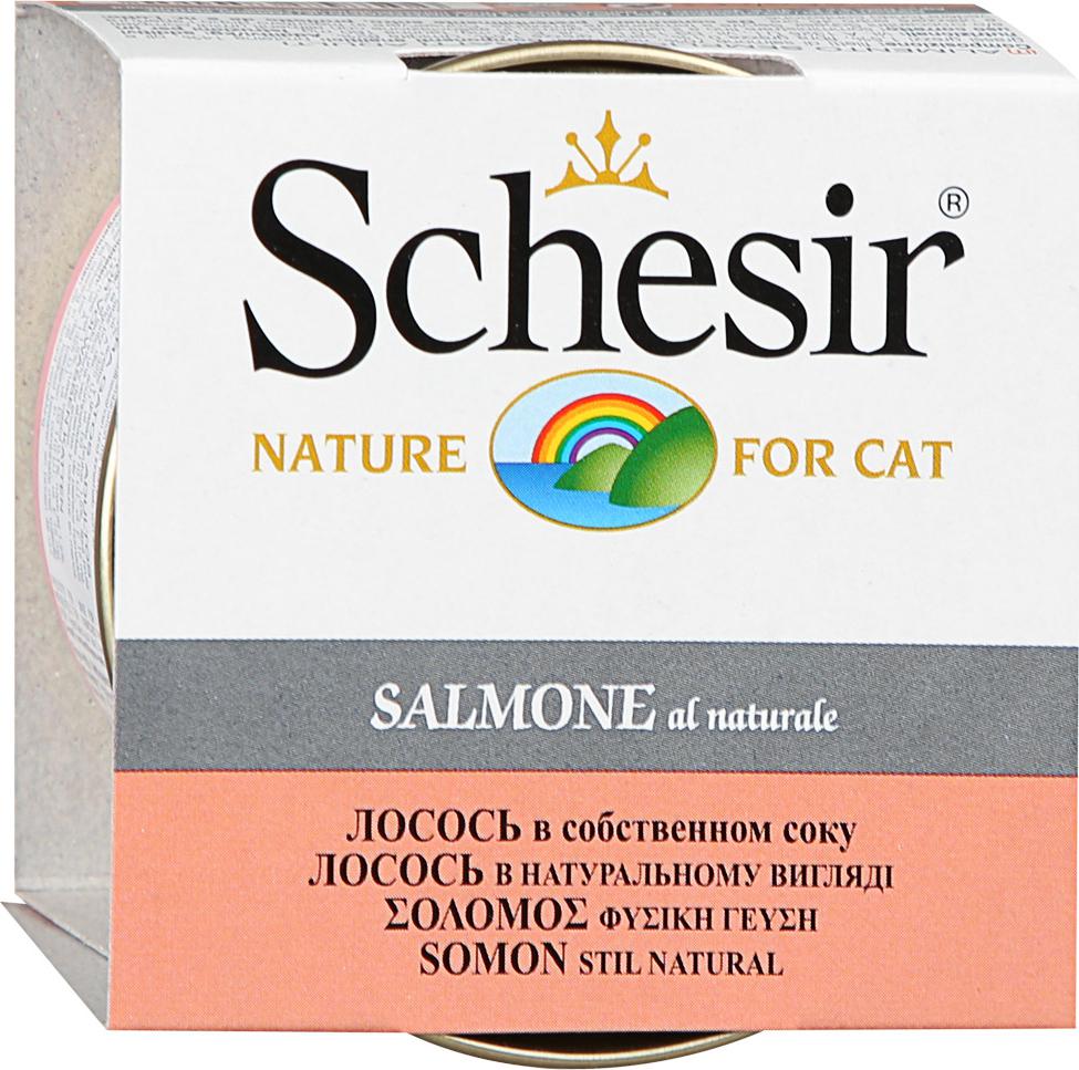 Schesir (шезир): обзор корма для кошек, состав, отзывы