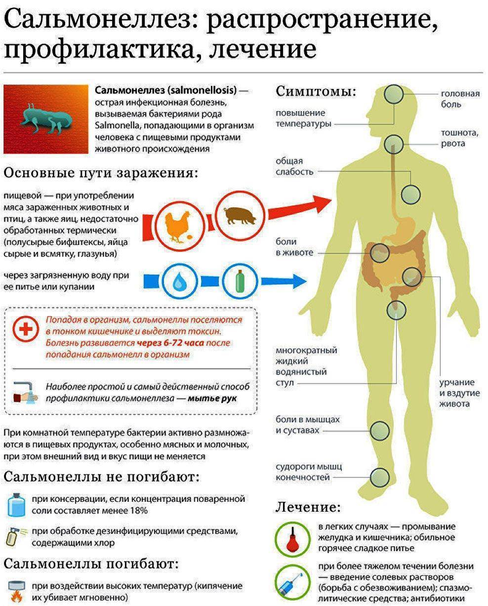 Клиническая картина сальмонеллеза у детей