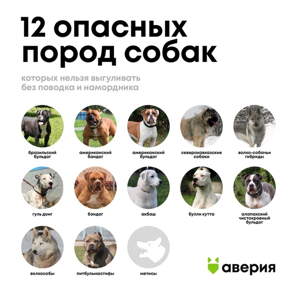 Список собак для выгула в наморднике по закону