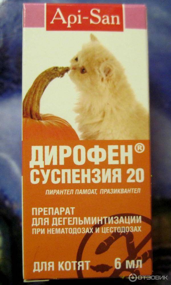 Дирофен для взрослых кошек и маленьких котят (таблетки, суспензия, паста): как давать препарат, инструкция