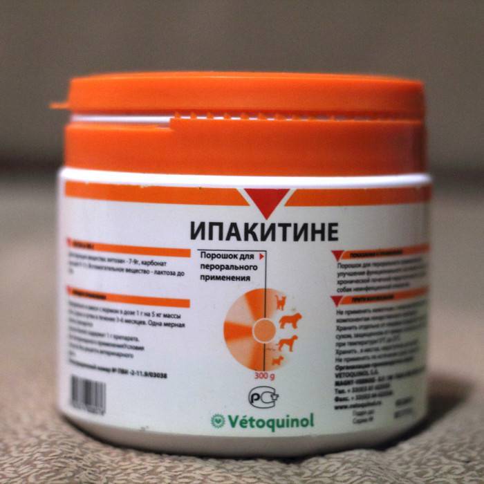 Ипакитине для собак — инструкция, отзывы | «дай лапу»