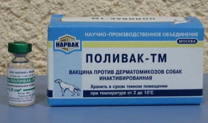 Поливак-тм для кошек: инструкция по применению