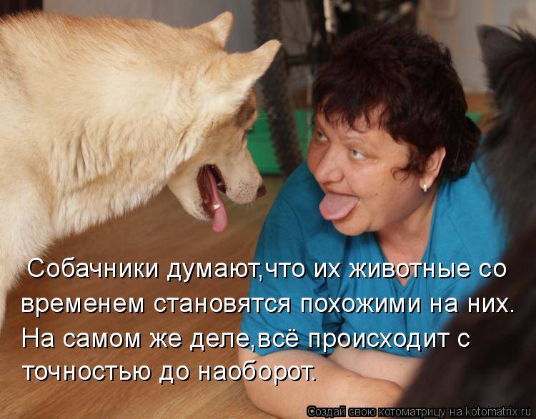 Что кошки думают о людях?