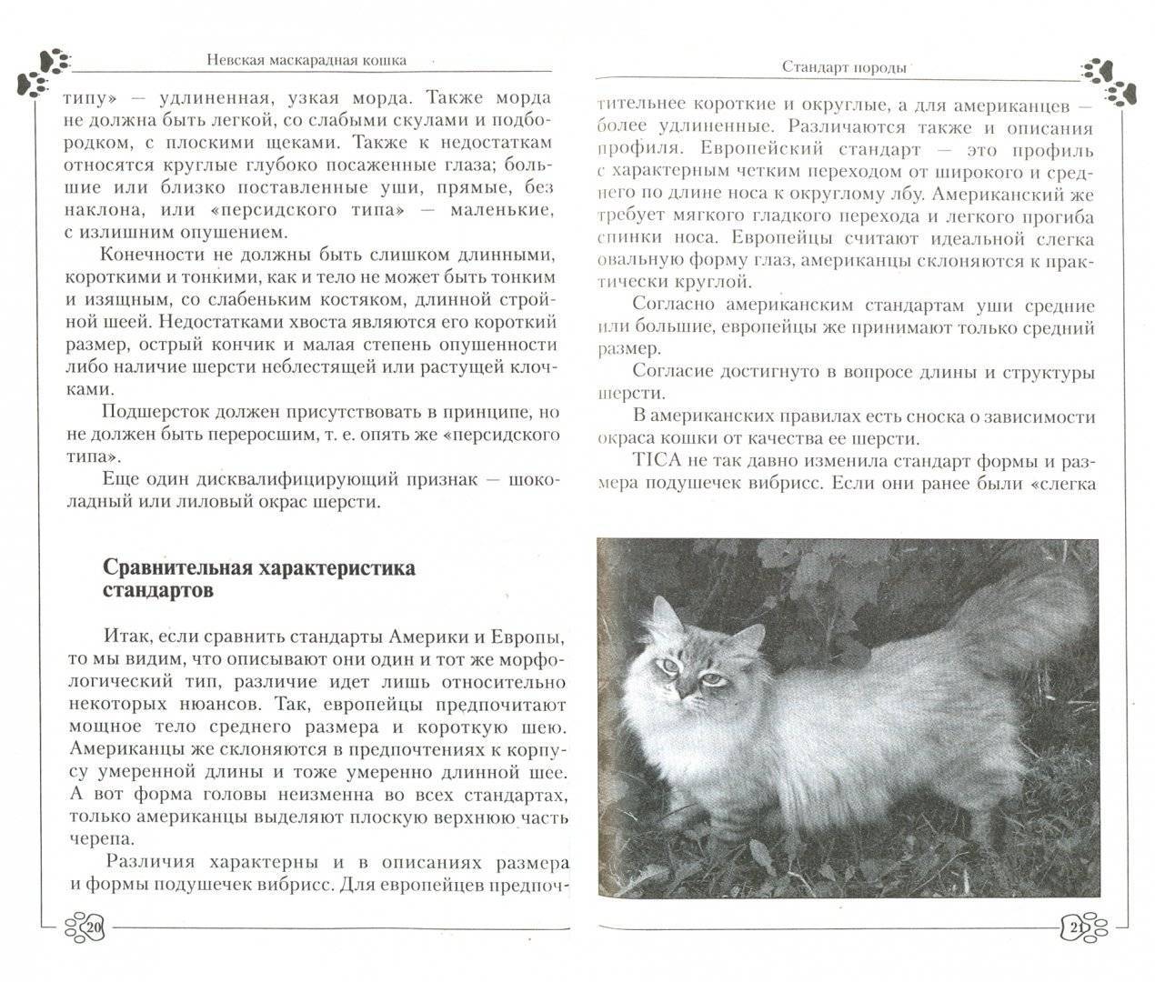 Невская маскарадная кошка, описание породы, характер, окрасы, чем кормить, уход и содержание, фото - zoosecrets