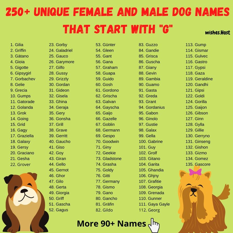 Имена для собак мальчиков: алфавитная подборка, рекомендации