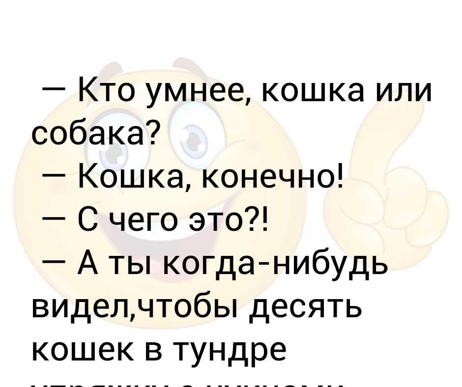 Как узнать, кто умнее – кошка или собака? отчеты исследований +видео