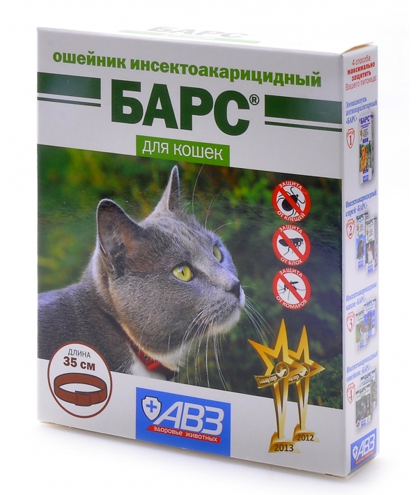 Как действует ошейник от блох для кошек и котят, с какого возраста одевать?