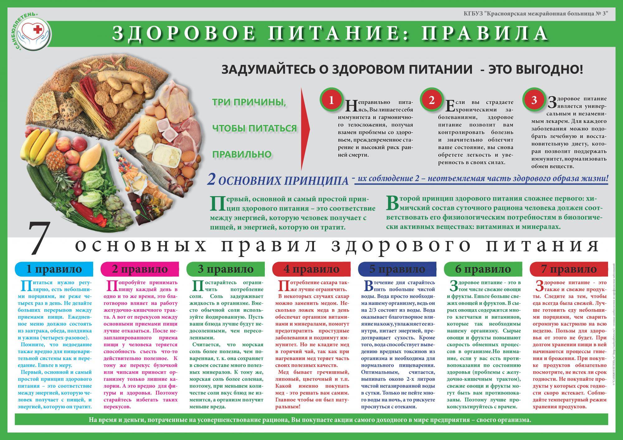 Корм для кошек при запорах: особенности лечебного питания и меры профилактики