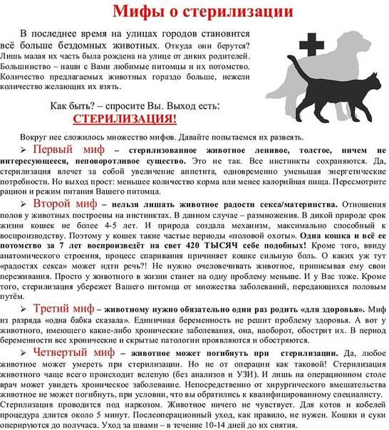 Купирование: особенности процедуры - vetspravka.ru