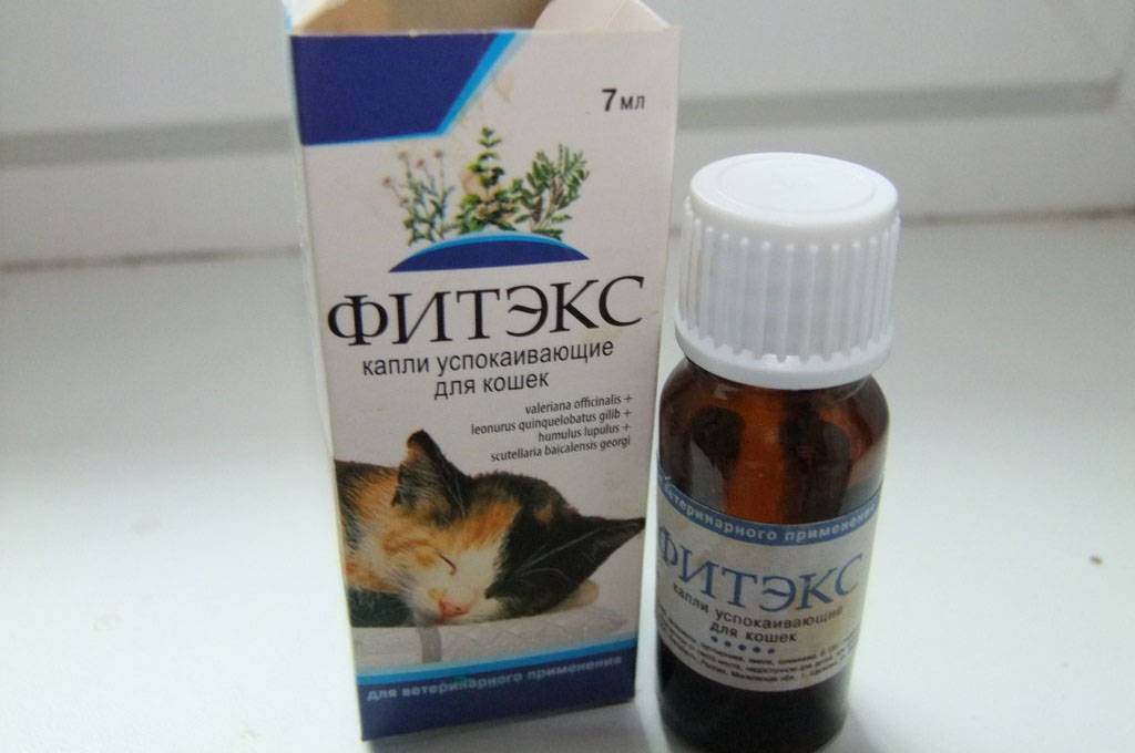 Успокоительное для кошек - обзор препаратов