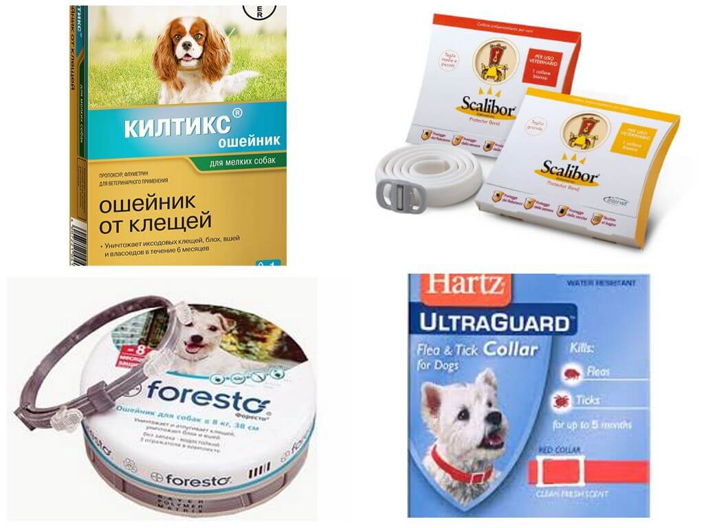 Ошейники от клещей и блох для собак килтикс (kiltix) – инструкция и отзывы
