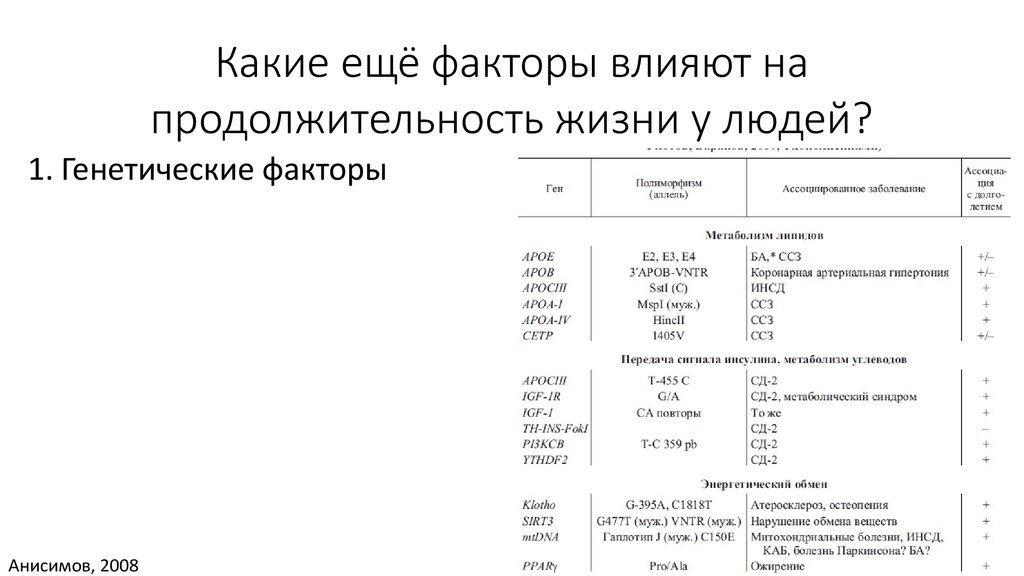 Русский спаниель — порода для любителей прогулок и хозяев частных домов. преимущества и особенности. фото — ботаничка