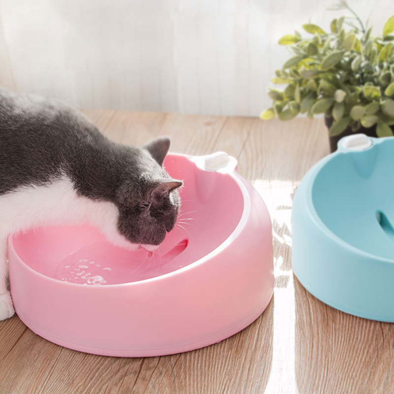 Автопоилка для кошек и котов: разновидности автоматической поилки и особенности выбора питьевого фонтанчика