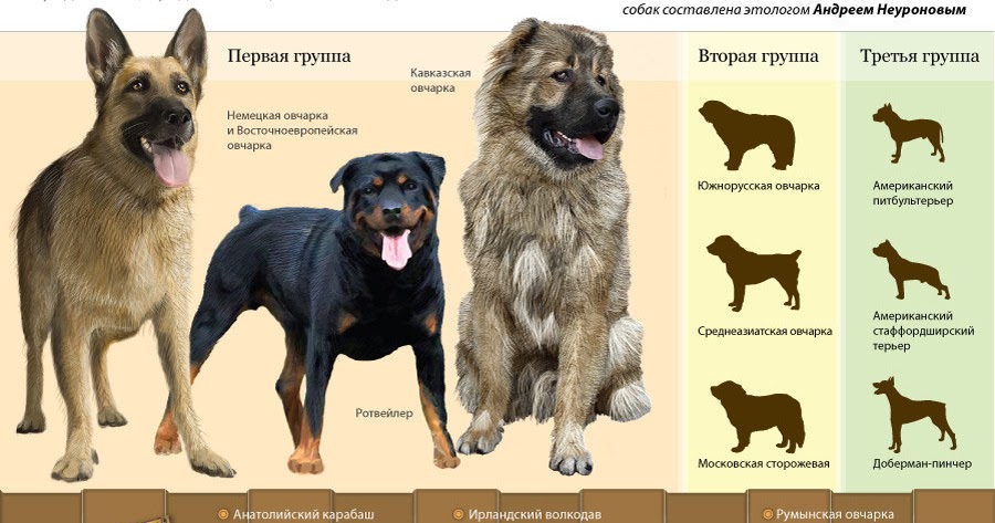 Каталог пород собак каталог с фотографиями и описанием