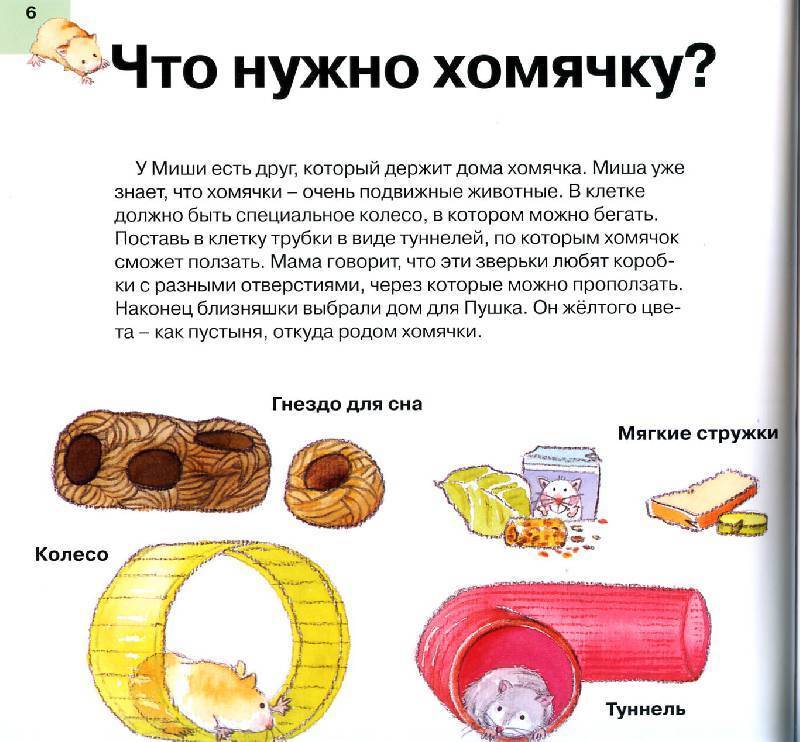Аксессуары для хомяков: всё, что нужно в клетке
