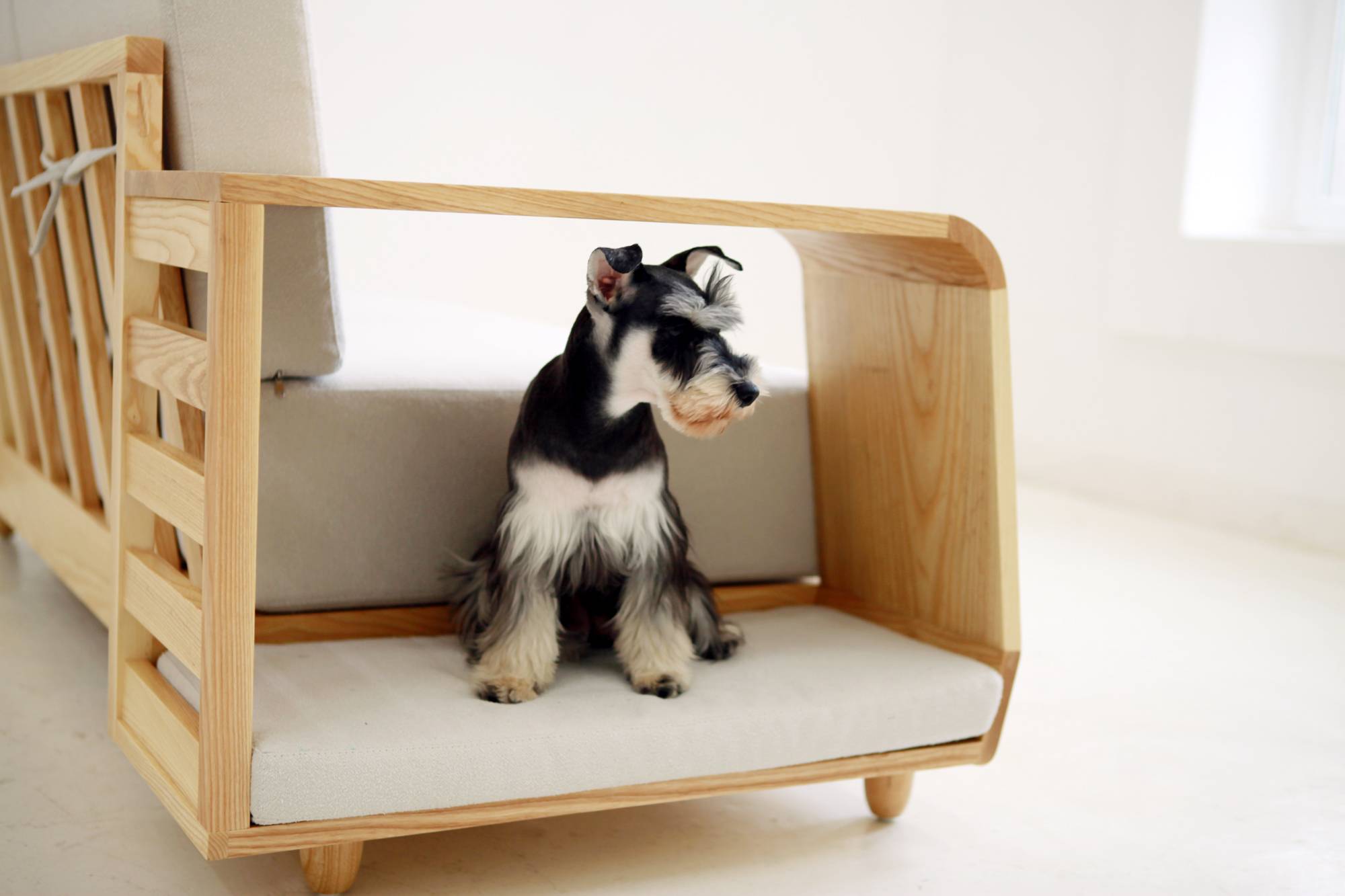 Мебель, дружественная к животным. обзор дизайнерской мебели для домашних любимцев