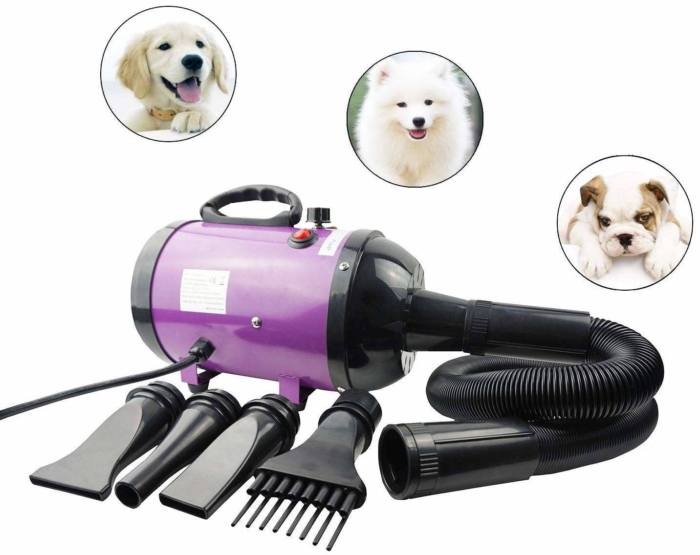 Обзор: догситтер (няня для собак) подработка на дому