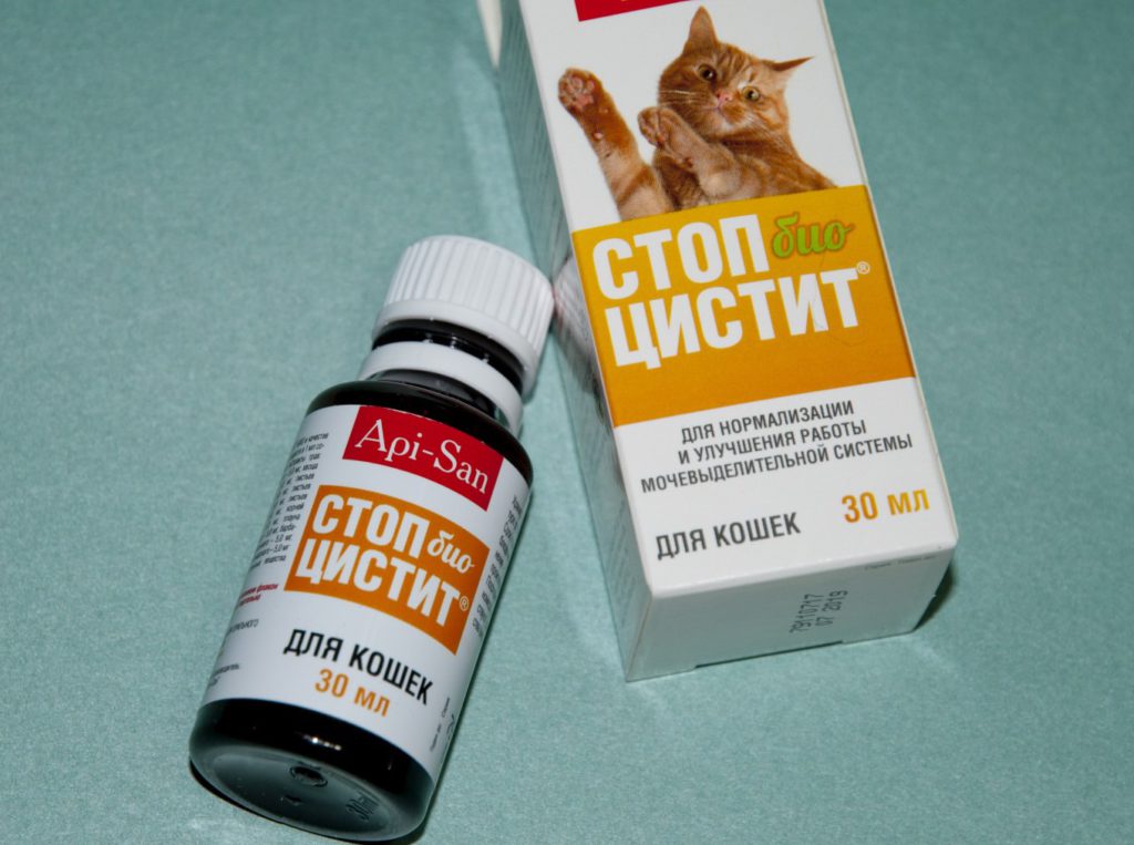 «стоп цистит» лечения кошек от цистита- препарат и положительная динамика +видео