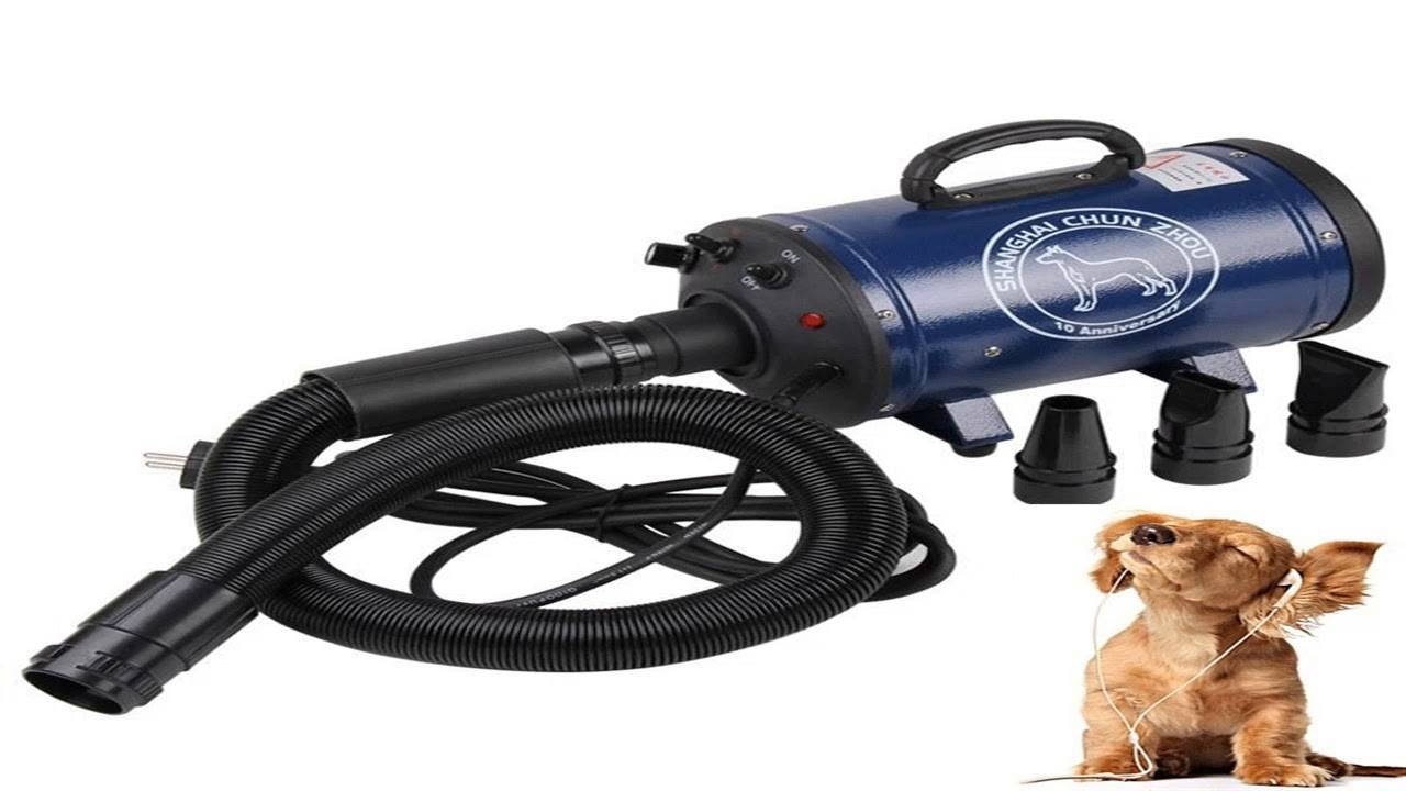 Покупка компрессора для собак на ALIEXPRESS: секреты и подводные камни