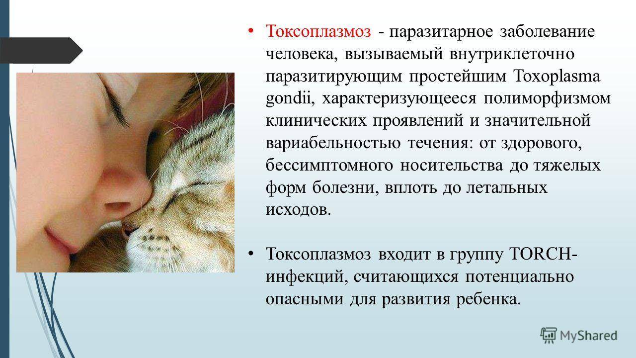 Токсоплазмоз при беременности: симптомы и признаки, лечение, последствия для плода. чем опасен токсоплазмоз  - medside.ru