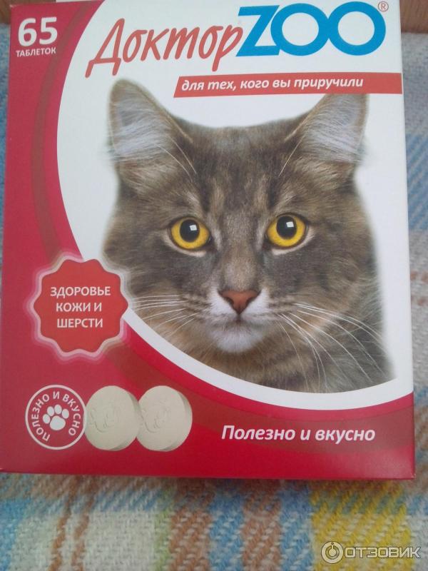 Витамины, средства и добавки против выпадения шерсти у кошек - причины и лечение - ecodobavki