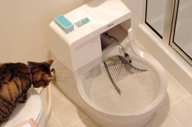 Автоматические туалеты для кошек: особенности, выбор и рейтинг моделей. автоматический туалет для кошек в умном доме: принципы работы и популярные модели