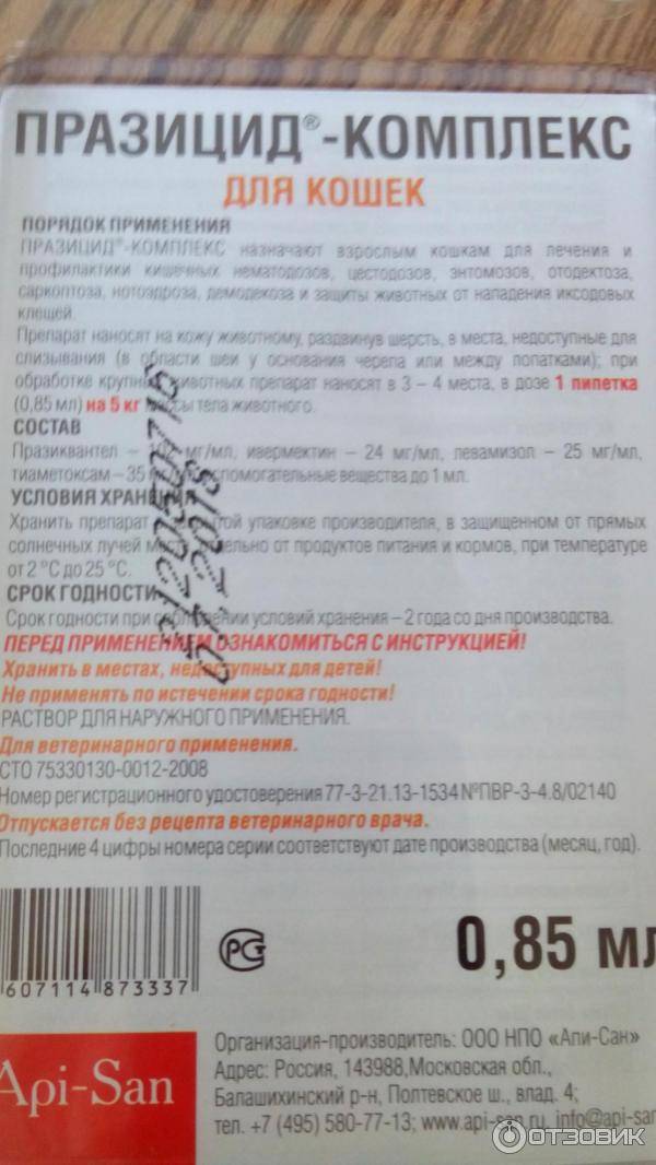 Празицид - эффективный препарат для профилактики и лечения гельминтов у котят старше трехнедельного возраста - все о породах кошек с описанием, фотографиями и названиями.все о породах кошек с описанием, фотографиями и названиями.