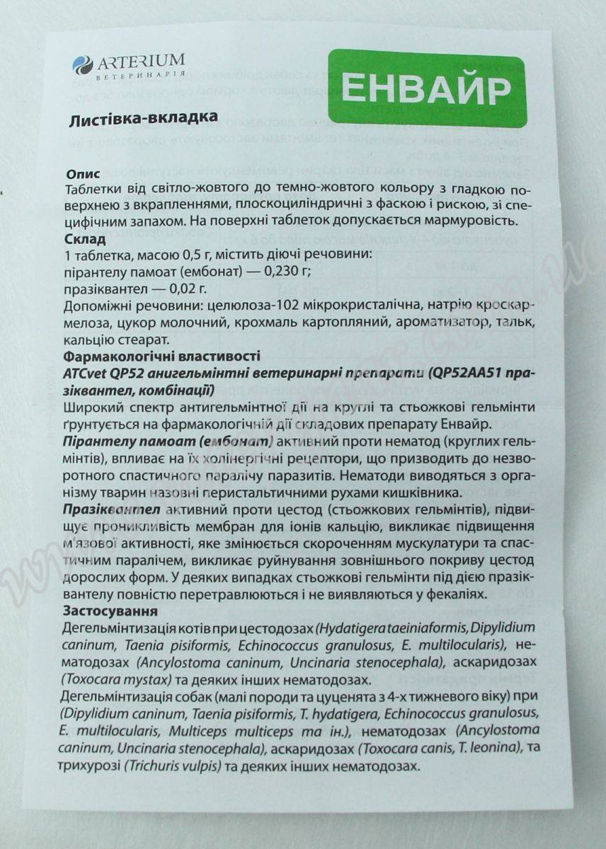 Как принимать прател собаке?