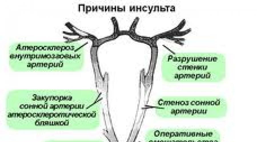 Чем болеют декоративные крысы?