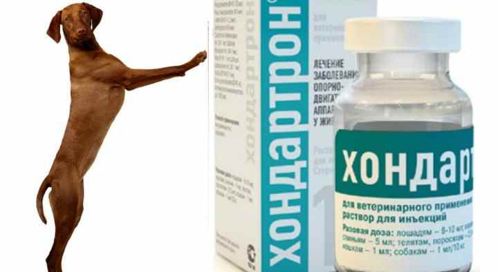 Отит наружный, среднего уха, внутренний. лечение и симптомы отита.