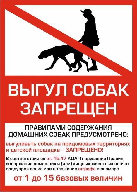 Правила выгула собак в 2021 году: поправки в закон, места для выгула, штрафы