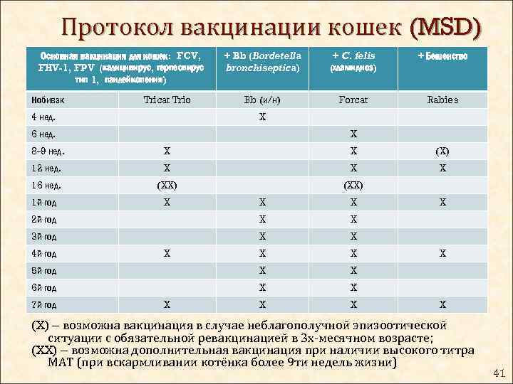 Первая прививка котёнку: правила и противопоказания. когда и какие прививки делать котятам - автор екатерина данилова - журнал женское мнение