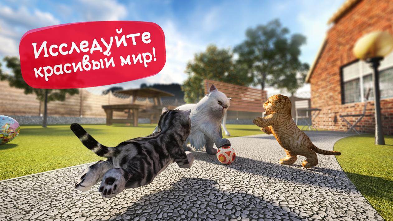 10 игр для котят и кошек - как играть с котенком и кошкой