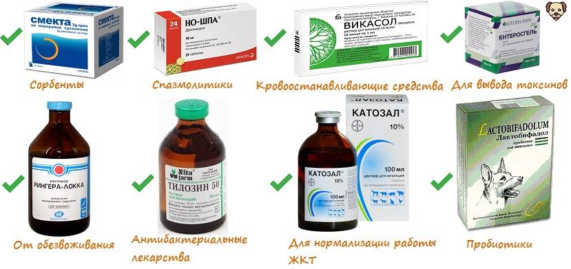Отит наружный, среднего уха, внутренний. лечение и симптомы отита.